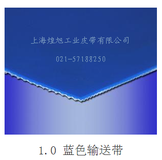 PVC藍(lán)色輸送帶