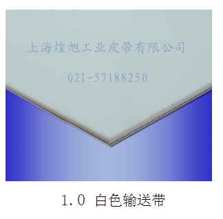 1.0白色輸送帶