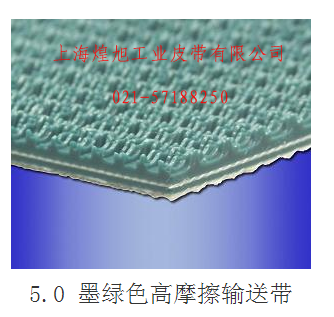 5.0綠色草袋