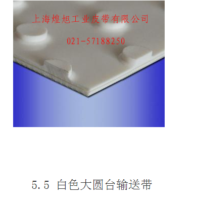5.5白色大圓臺(tái)輸送帶