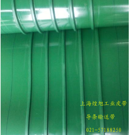 導條輸送帶1